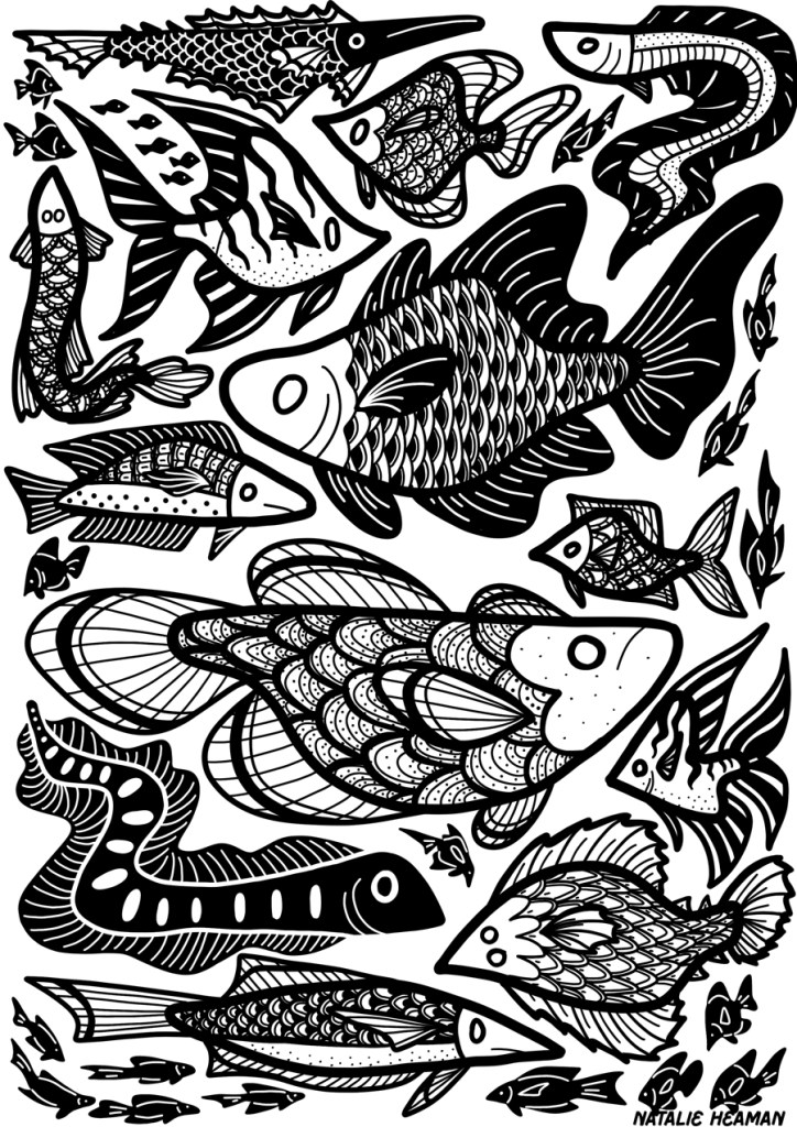 A back and white illustration of different shaped fish.