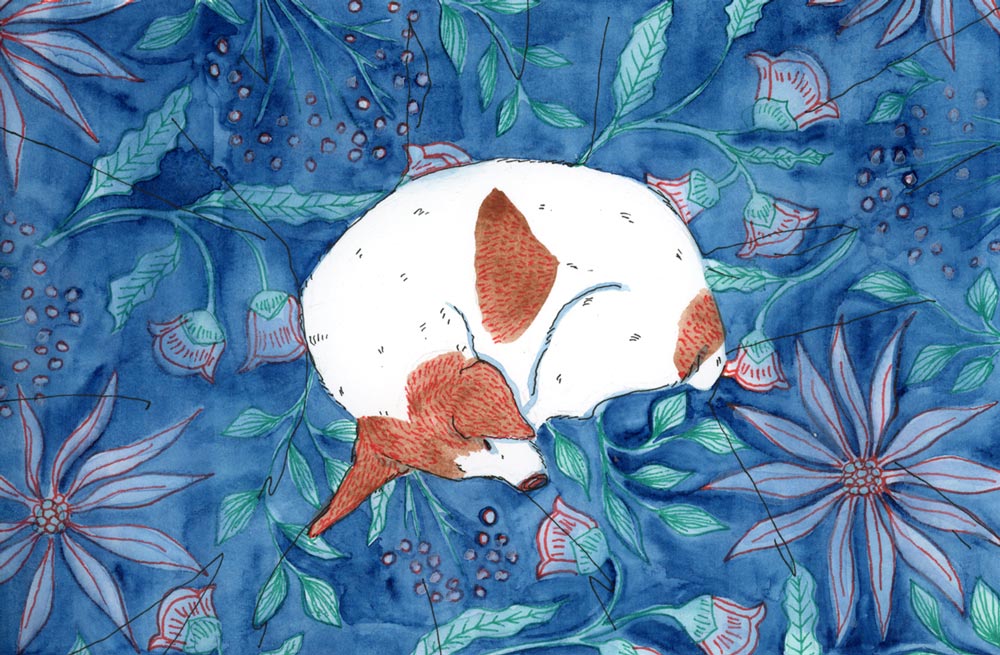 A watercolour painting of a small white dog with brown spots curled up and sleeping on a duvet with a floral pattern.