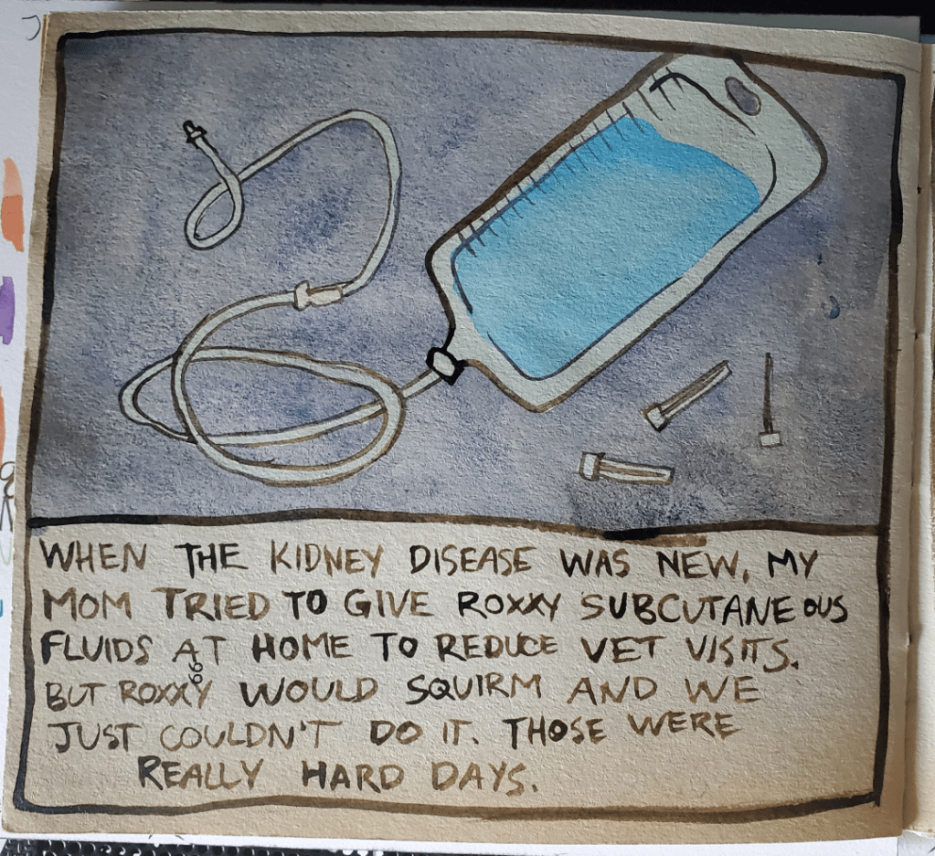 A singe panel comic showing a drawing of a bag of subcutaneous fluids and needles. The caption reads "When the kidney disease was new, my mom tried to give Roxxy subcutaneous  fluids at home to reduce vet visits. But Roxxy would squirm and we just couldn't do it. Those were really hard days."