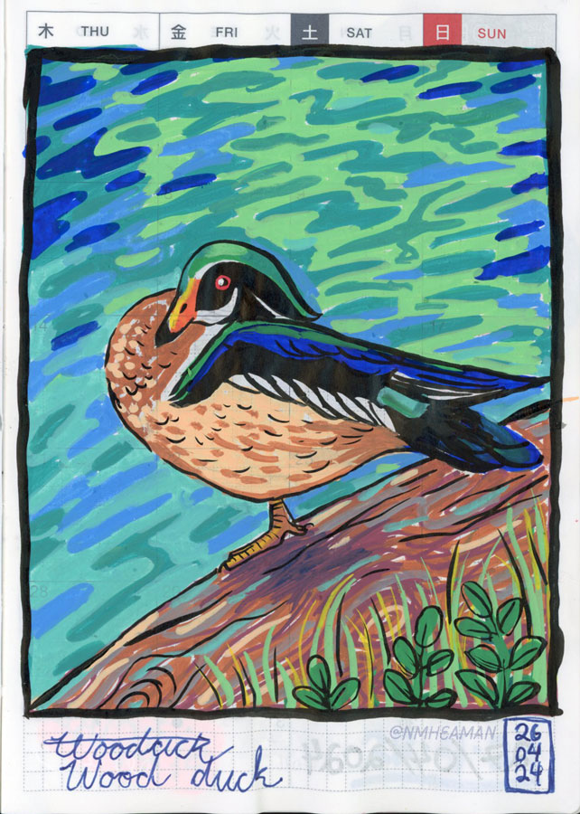 Another drawing with Posca paint pens and a brush pen. This shows a wood duck sitting on a log at the edge of a pond. It is resting, with its head tucked into its feathers. 
