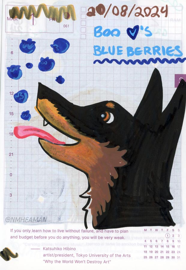A drawing of a black dog with pointy ears in profile. Her mouth is open and tongue out in anticipation of eating blueberries with are in front of her. Text captions the drawing: “Boo hearts blueberries”

