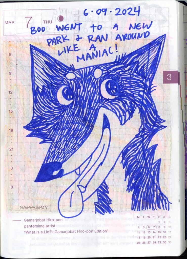 A cartoony drawing of a bright-eyed dog with pointy ears, mouth open and tongue hanging out. Text reads: “Boo went to a new park and ran around like a maniac!”
