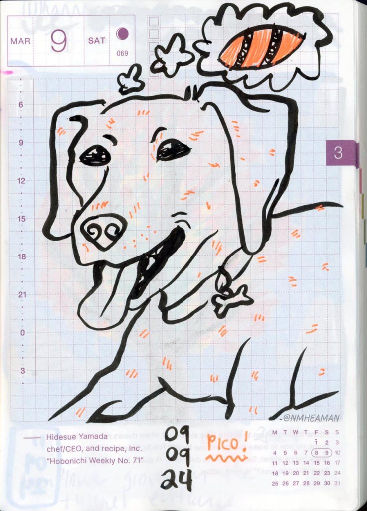 A loose drawing of a dog with floppy ears. A thought bubble comes from his head, and in it a drawing of his favourite toy: a rubber football. 
