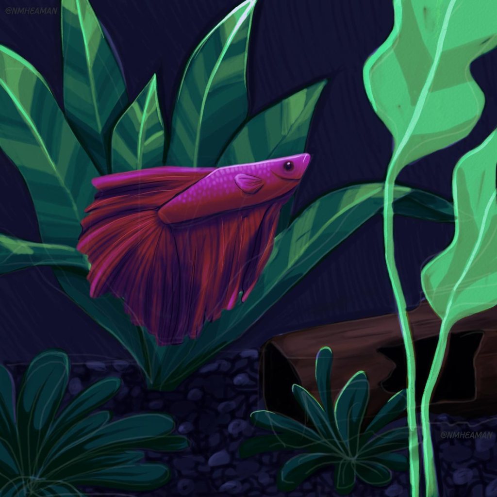 Colouring in Procreate Experiments: Jellybean