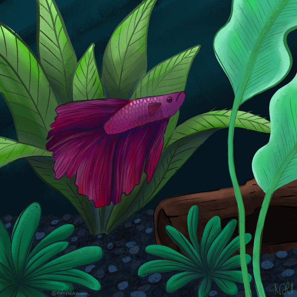 Another take on the same drawing of the fish in an aquarium, but recoloured again. In this version there is clear linework, and it’s overall lighter. 
