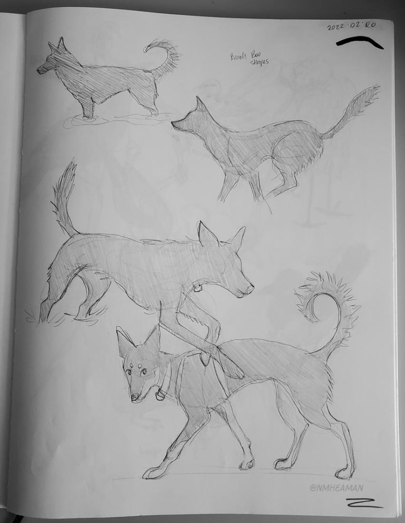 A page of pencil sketches of a dog in various poses, standing and running. The dog has pointy ears and a fluffy curled tail.