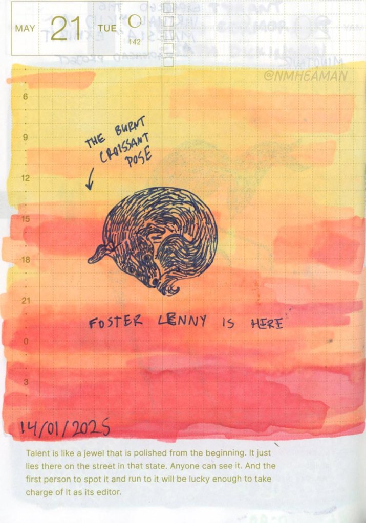 A gel pen drawing of a small dog curled up into a tight ball. It is captioned “Foster Lenny is here” and an arrow points to the dog saying “the burnt croissant pose”.