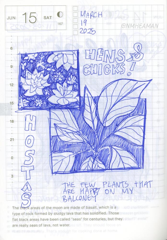 March 2025 Hobonichi