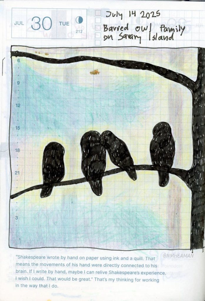 A pen drawing showing the silhouettes four owls on a tree branch, captioned “Barred owl family on Savary Island”