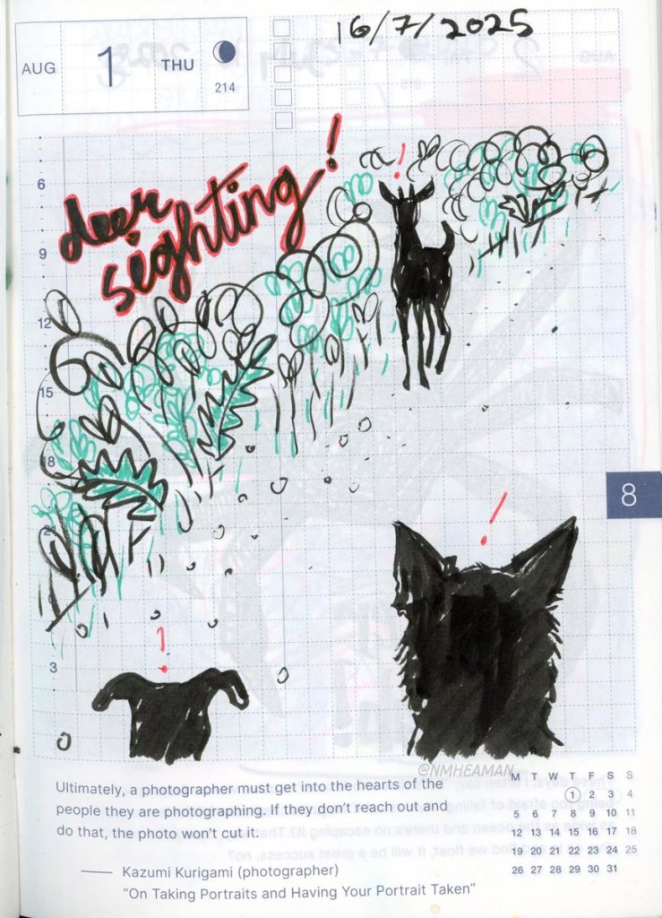 A pen drawing showing two dogs looking at a deer ahead of them. Both dogs and the deer have an exclamation mark over their head, everyone is surprised to see each other!