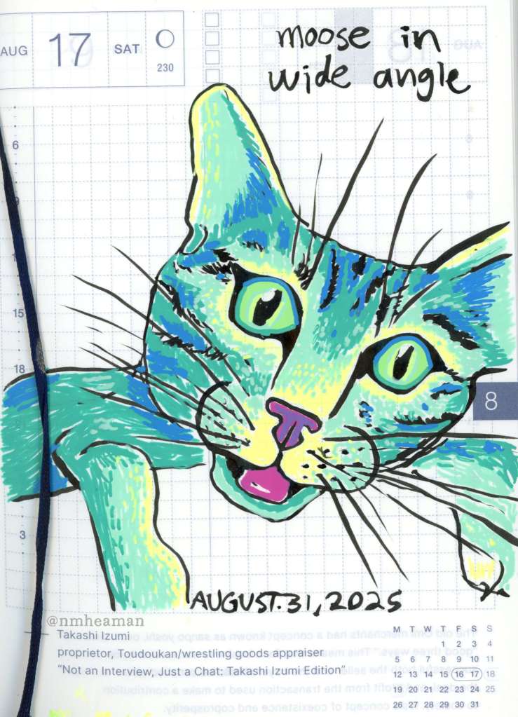 A gel pen drawing of a cat, it’s face up close and a bit distorted. It’s captioned “Moose in wide angle”