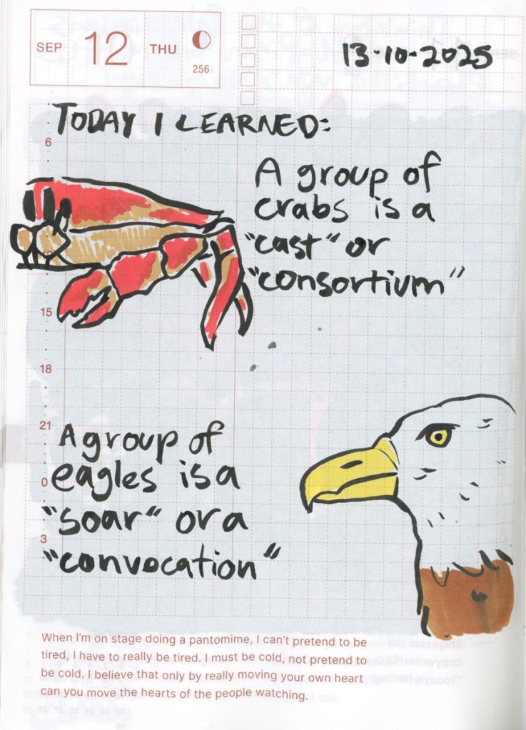 A sketch of a crab and a bald eagle in acrylic markers. Text on the drawings says “Today I learner: a group of crabs is a “cast” or “consortium”. A group of eagles is a “soar” or a “convocation”.