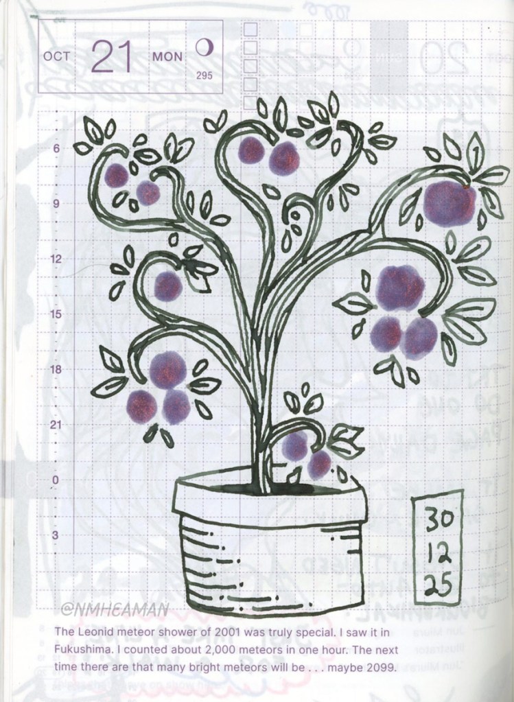 An ink drawing of a plant in a pot with twisting curved branches. Each branch ends with a purple circle or clusters of circles, like fruit. It isn’t a drawing on any particular plant species, and is mean to be stylized and somewhat geometric.