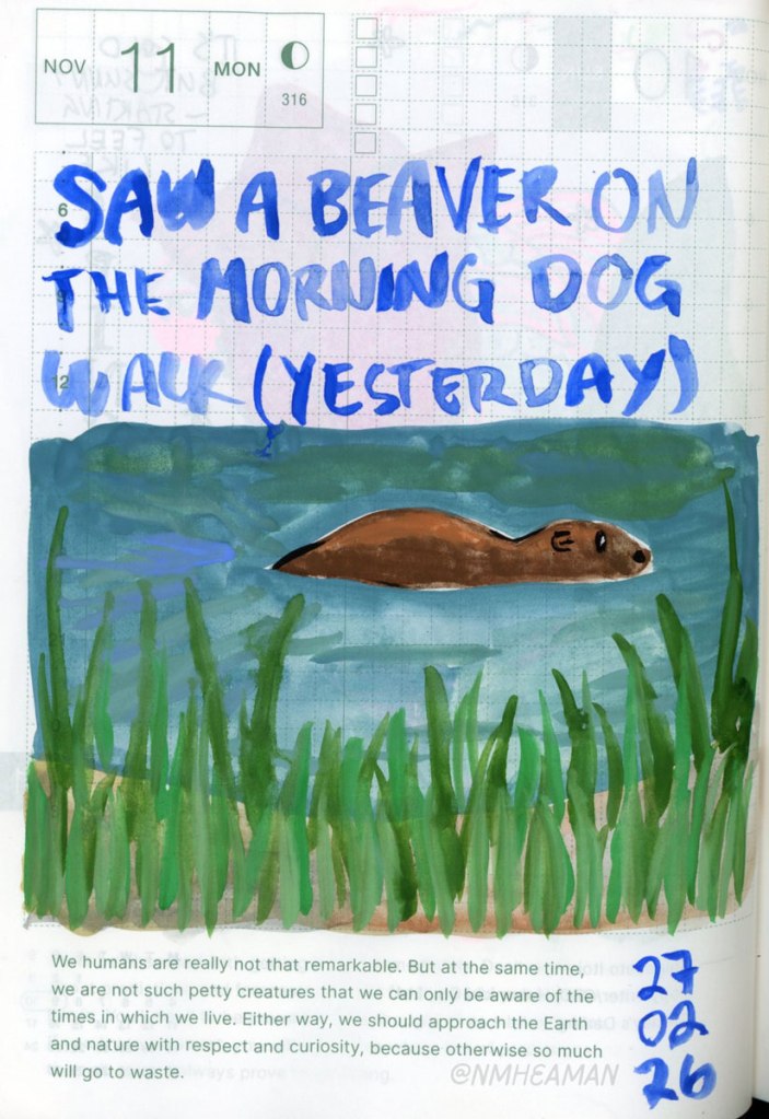 A gouache painting of a beaver swimming along the river, captioned "Saw a beaver on the morning dog walk (yesterday)"