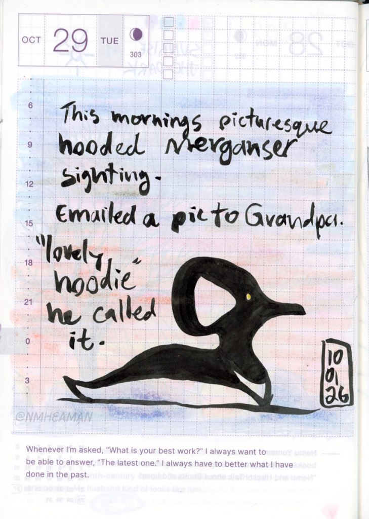 A loose brush pen drawing of a hooded merganser duck – these ducks are black and white and have a big, distinctive crest on their head, and yellow eyes. "This mornings picturesque hooded merganser sighting. Emailed a pic to Grandpa. "lovely hoodie" he called it" is written above the drawing