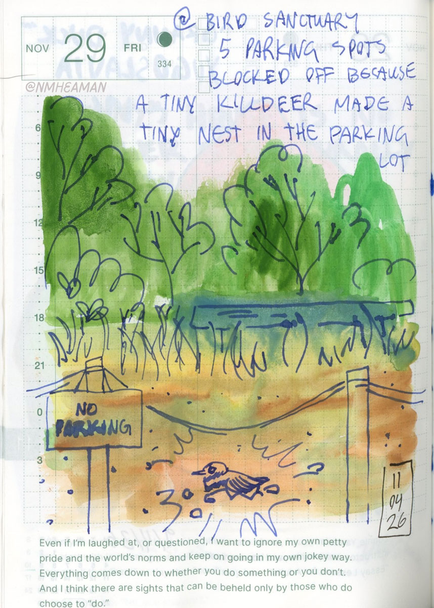 Wet gouache paint colours with lines inked on top. The drawing shows stanchions with a “no parking” sign. Behind it, a small bird sits on a nest; further behind it as bushes and trees. It’s captioned “At the bird sanctuary. 5 parking spots blocked off because a tiny killdeer made a tiny nest in the parking lot”